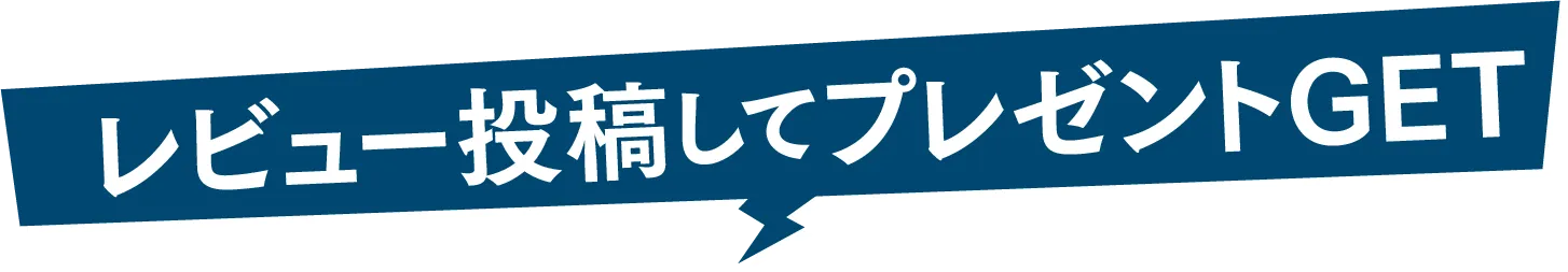 レビュー投稿してプレゼントGET