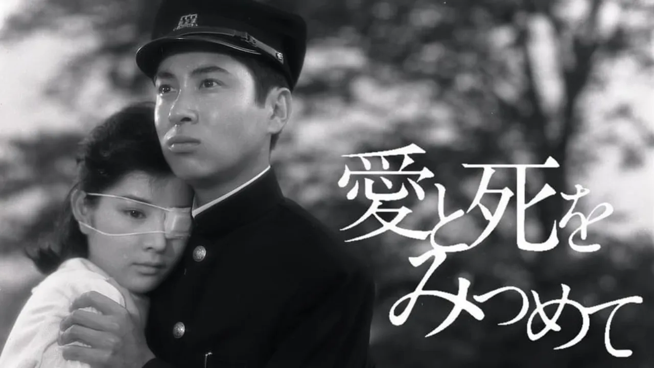 愛と死をみつめて