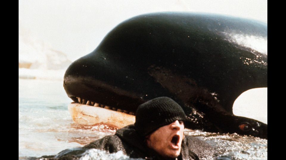 オルカ場面写真