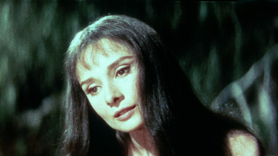 緑の館場面写真