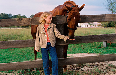 夢駆ける馬ドリーマー場面写真