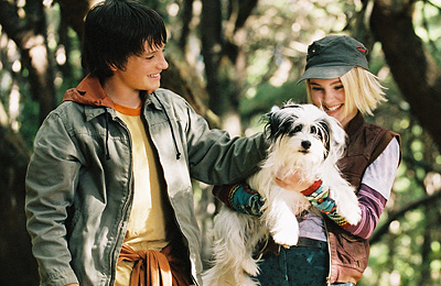 テラビシアにかける橋場面写真