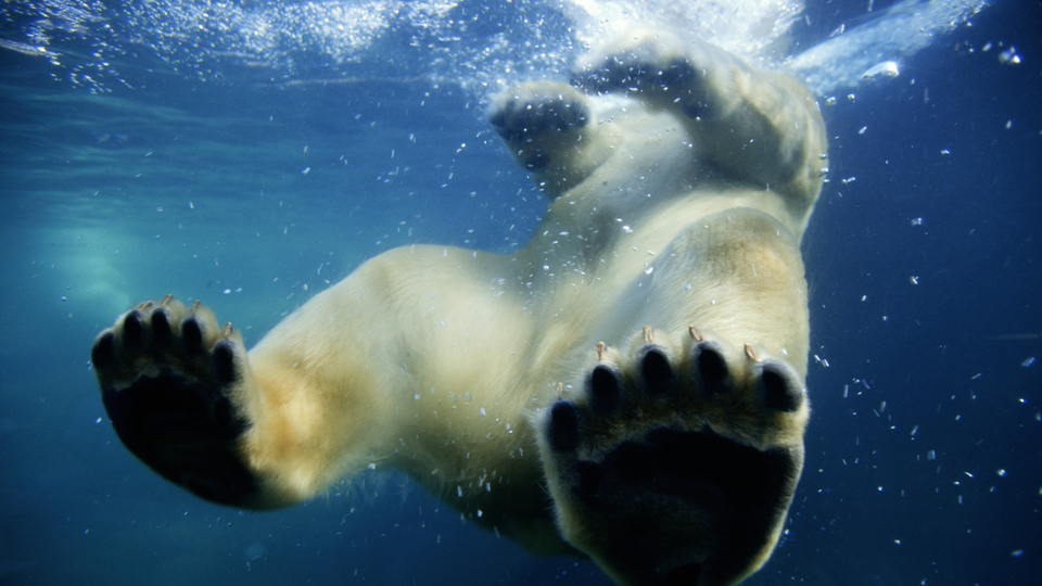 アース場面写真