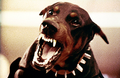 ドーベルマン・ギャング場面写真