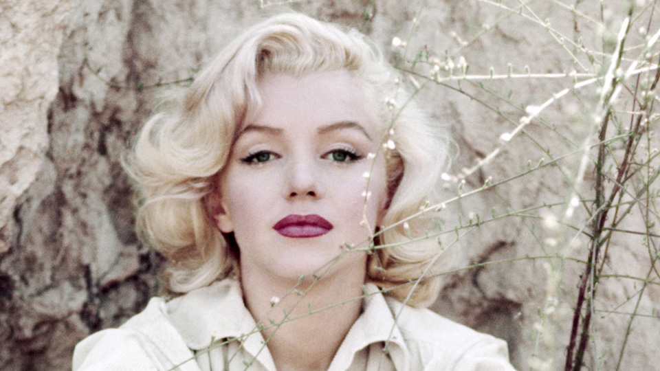 マリリン・モンロー 瞳の中の秘密場面写真