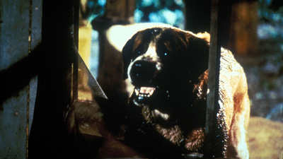 クジョー場面写真