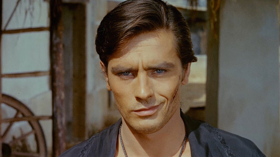 黒いチューリップ場面写真