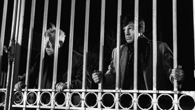 冬の猿場面写真