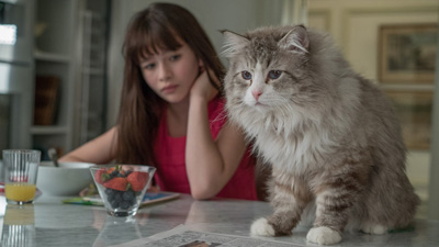 メン・イン・キャット場面写真