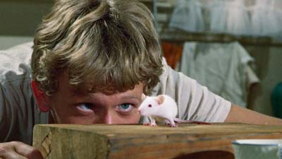 ウイラード場面写真