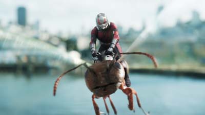 アントマン＆ワスプ［吹］場面写真