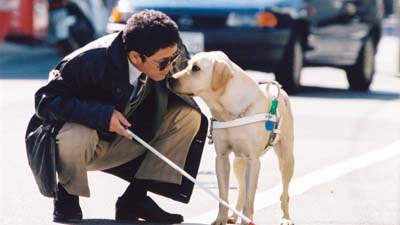 クイール場面写真