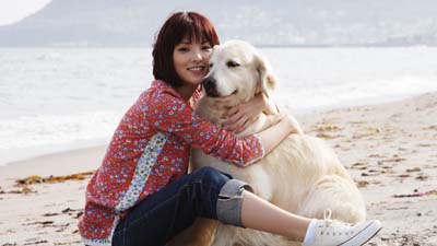 犬と私の10の約束場面写真