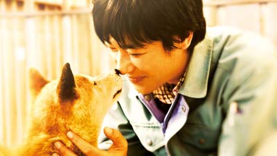 ひまわりと子犬の７日間場面写真