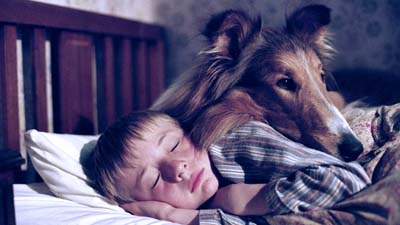 名犬ラッシー（２００５）［吹］場面写真