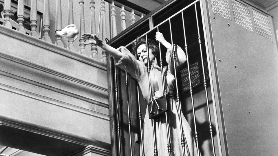 不意打ち場面写真