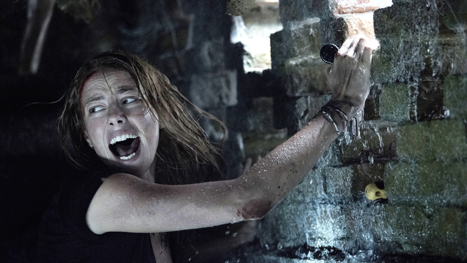 クロール　－凶暴領域－［吹］場面写真