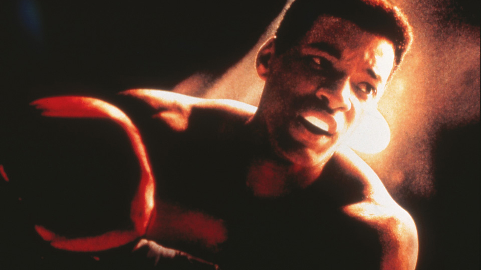 ＡＬＩ　アリ場面写真