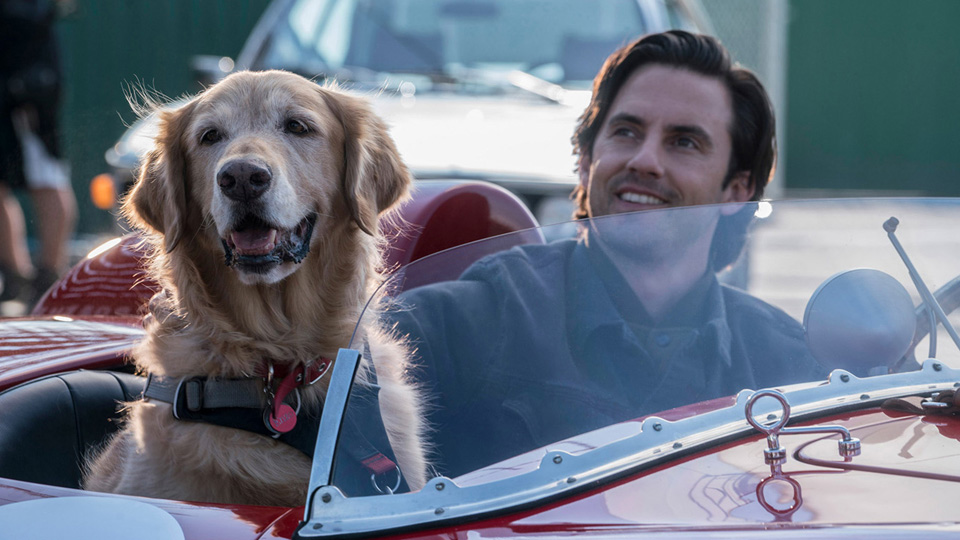 エンツォ　レーサーになりたかった犬とある家族の物語［吹］場面写真