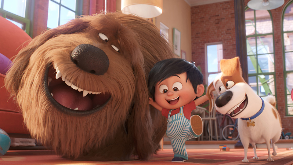 ペット２場面写真