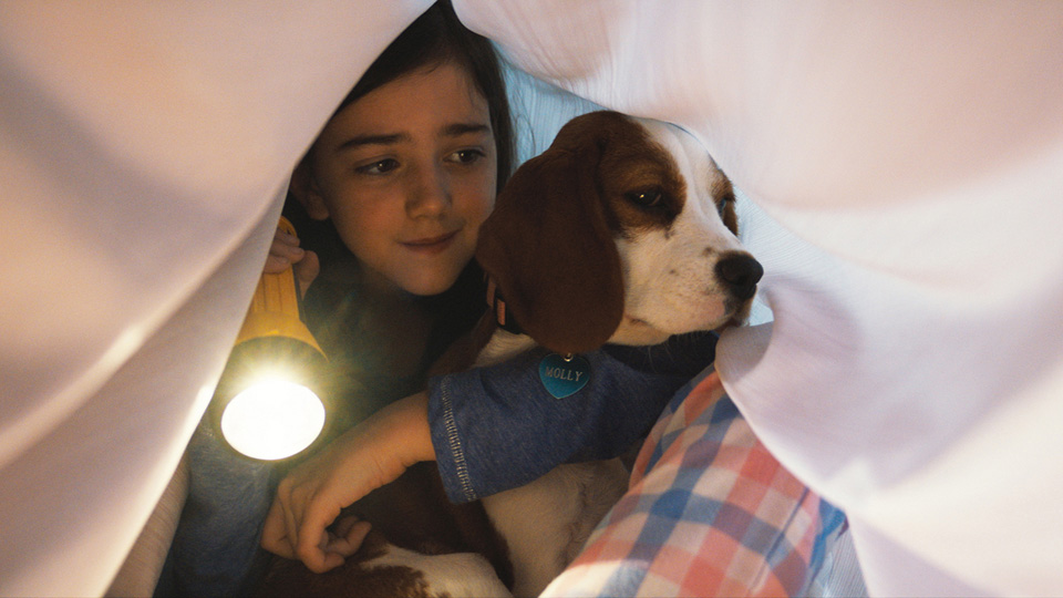 僕のワンダフル・ジャーニー場面写真