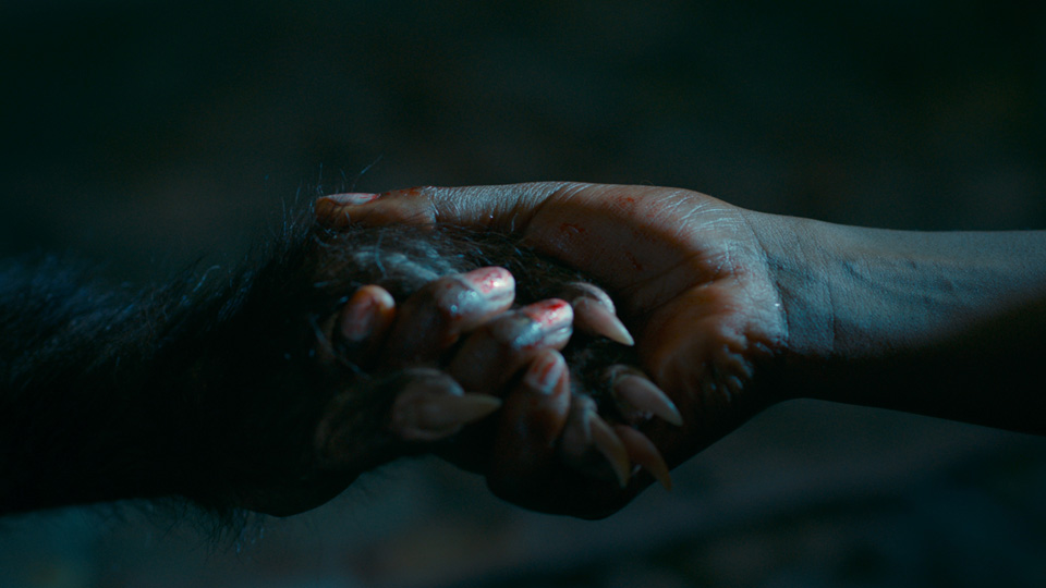 狼チャイルド場面写真