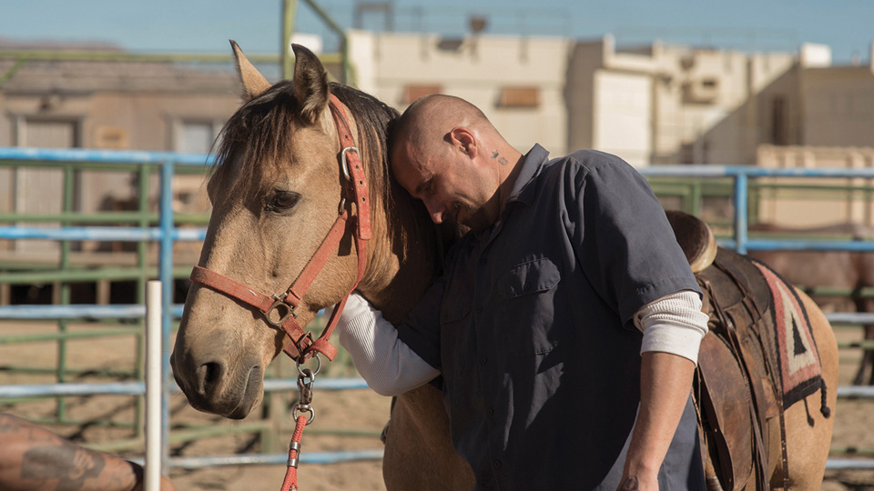 ムスタング場面写真