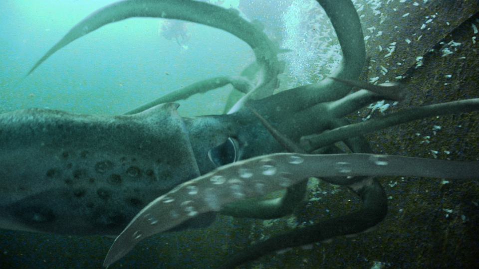 クラーケンフィールド HAKAISHIN場面写真