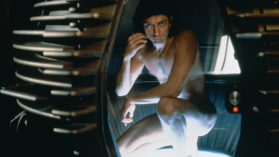 ザ・フライ［吹］ゴールデン洋画劇場版場面写真