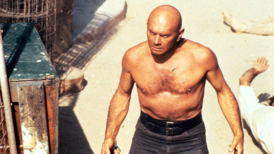 SF最後の巨人場面写真