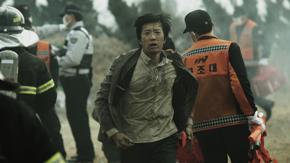 ヨンガシ 変種増殖場面写真