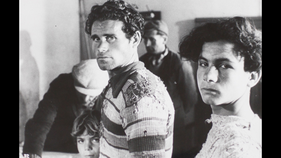 揺れる大地場面写真