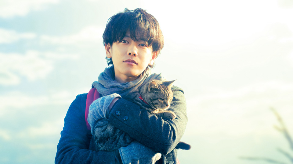 世界から猫が消えたなら場面写真