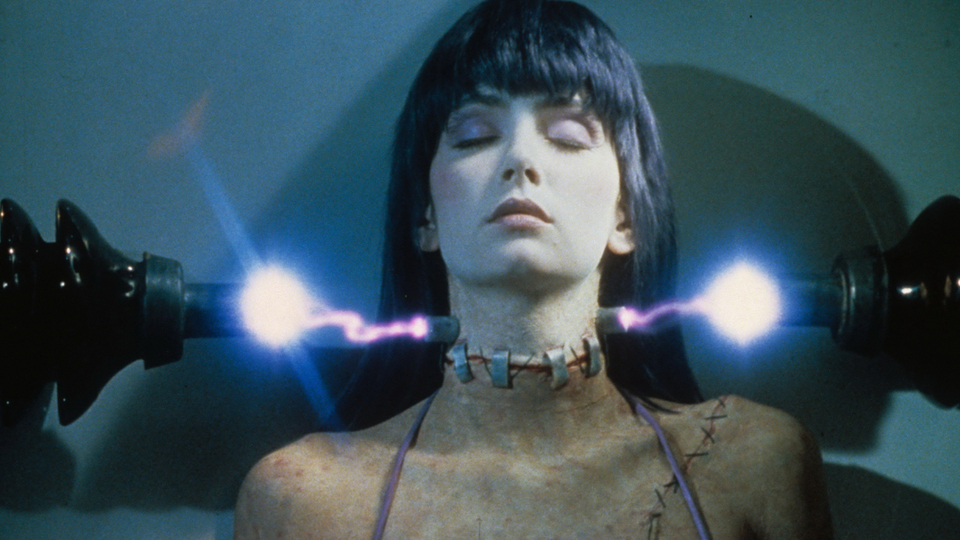 フランケンフッカー場面写真