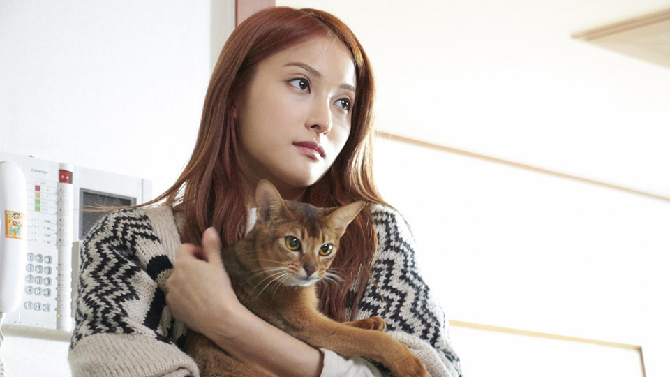 サヨナラの伝え方場面写真