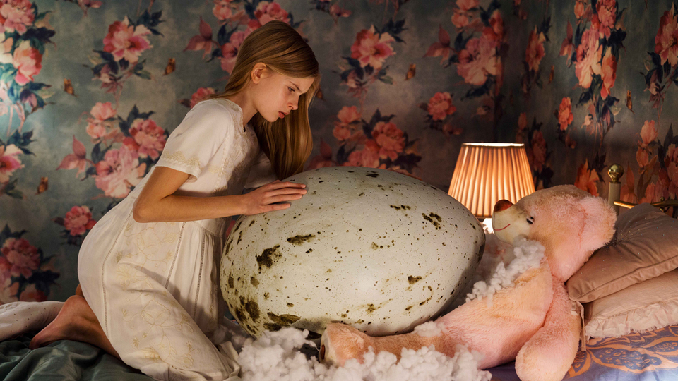 ハッチング－孵化－場面写真