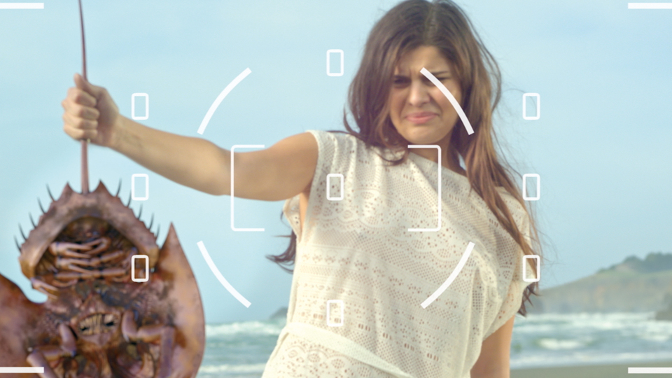 キラーカブトガニ場面写真