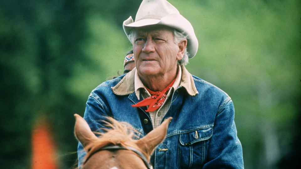 アドベンチャー・カントリー 野生馬の叫び場面写真