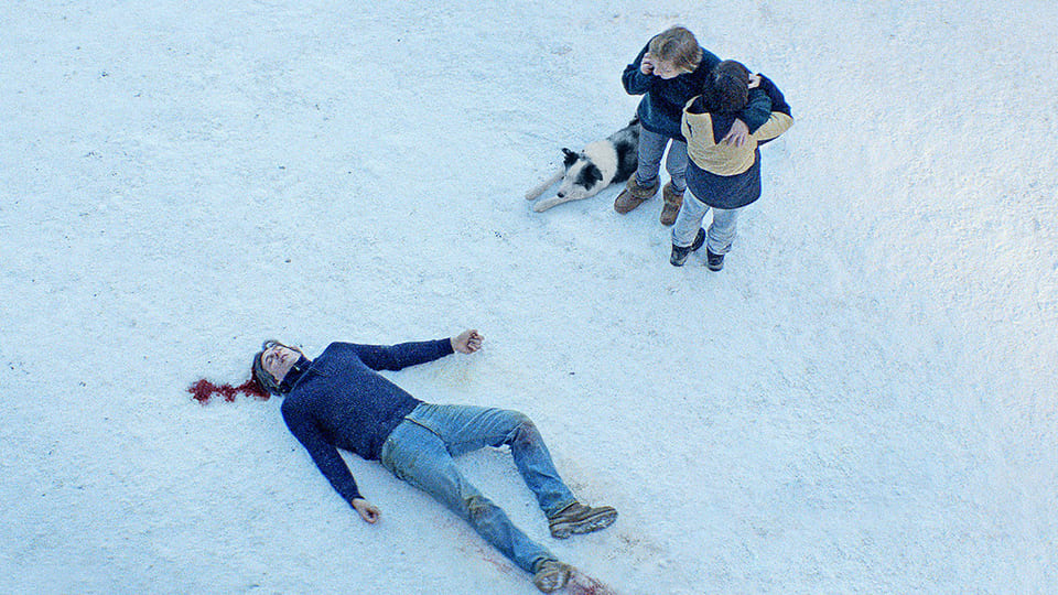 落下の解剖学場面写真