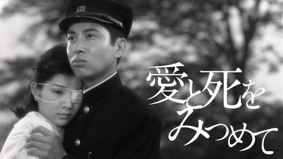 愛と死をみつめて