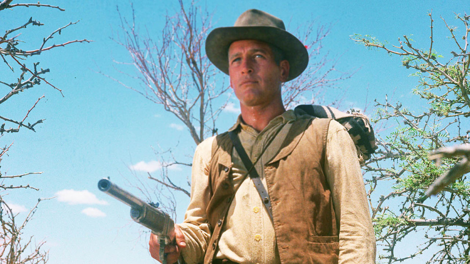 太陽の中の対決場面写真