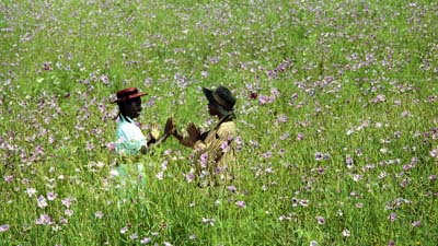 カラーパープル場面写真