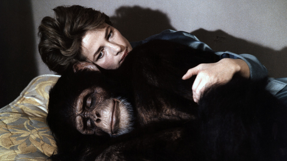 マックス、モン・アムール場面写真