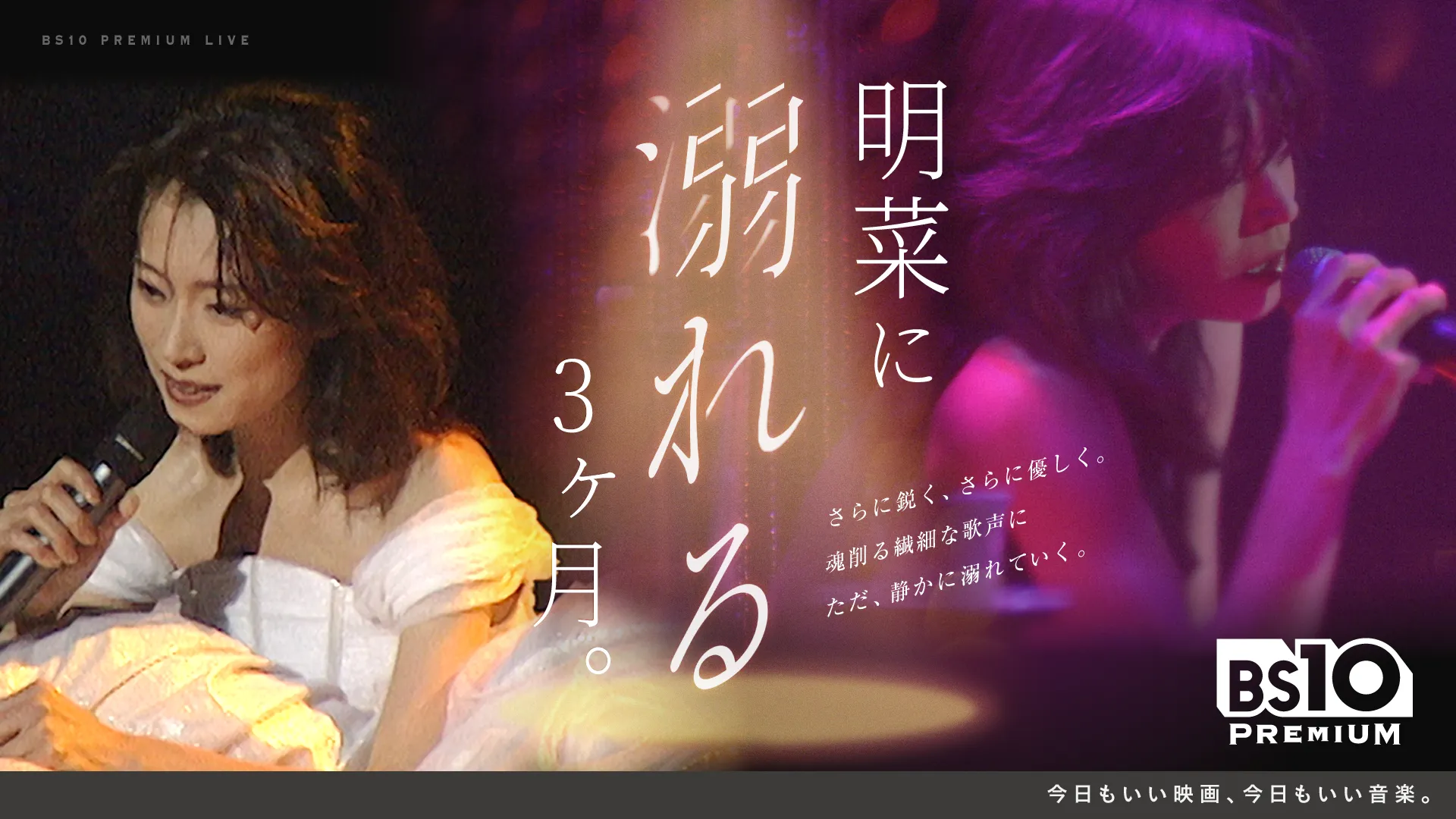 明菜に溺れる、3ヶ月。