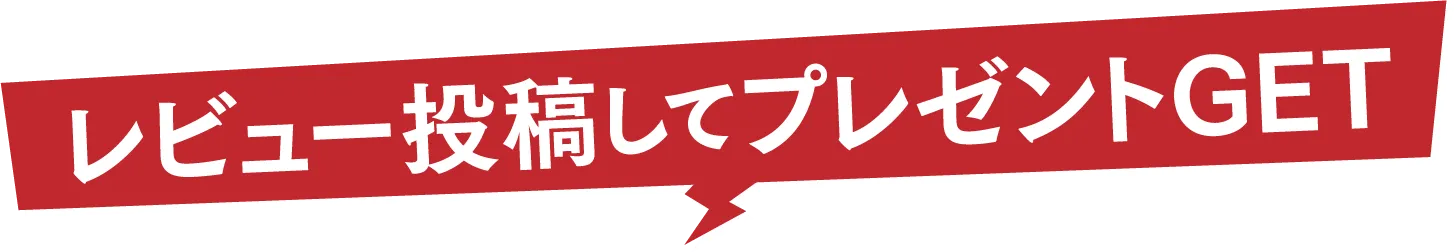 レビュー投稿してプレゼントGET