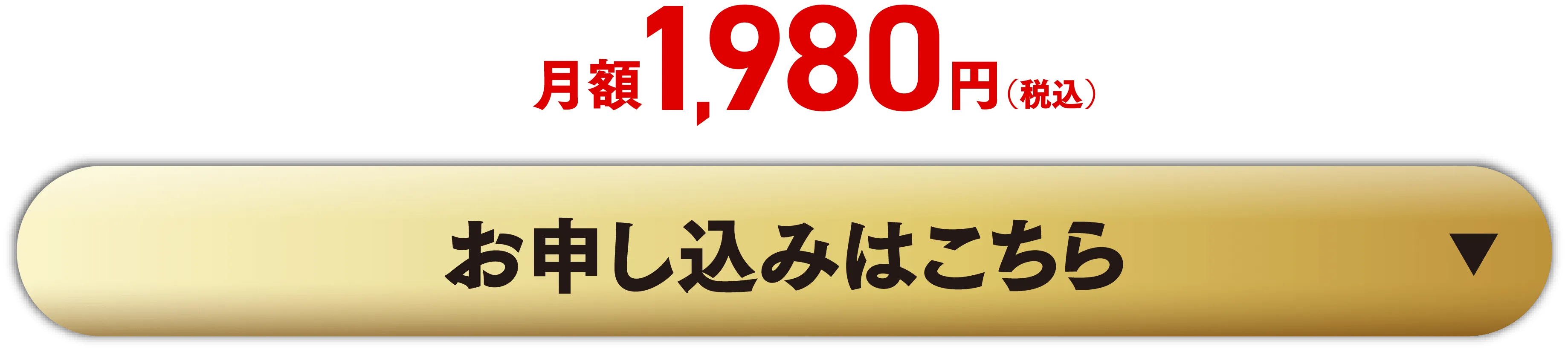 月額1,980円 お申し込みはこちら