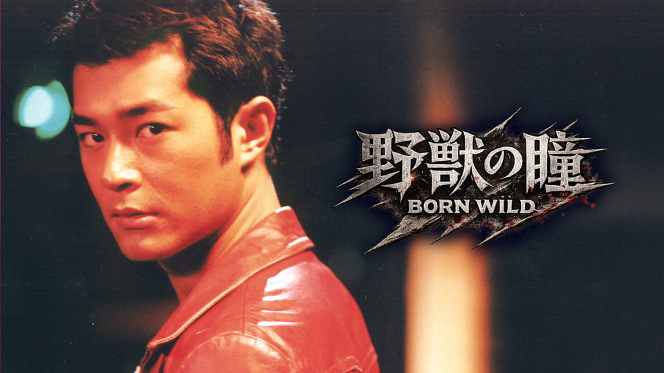 野獣の瞳 BORN WILD