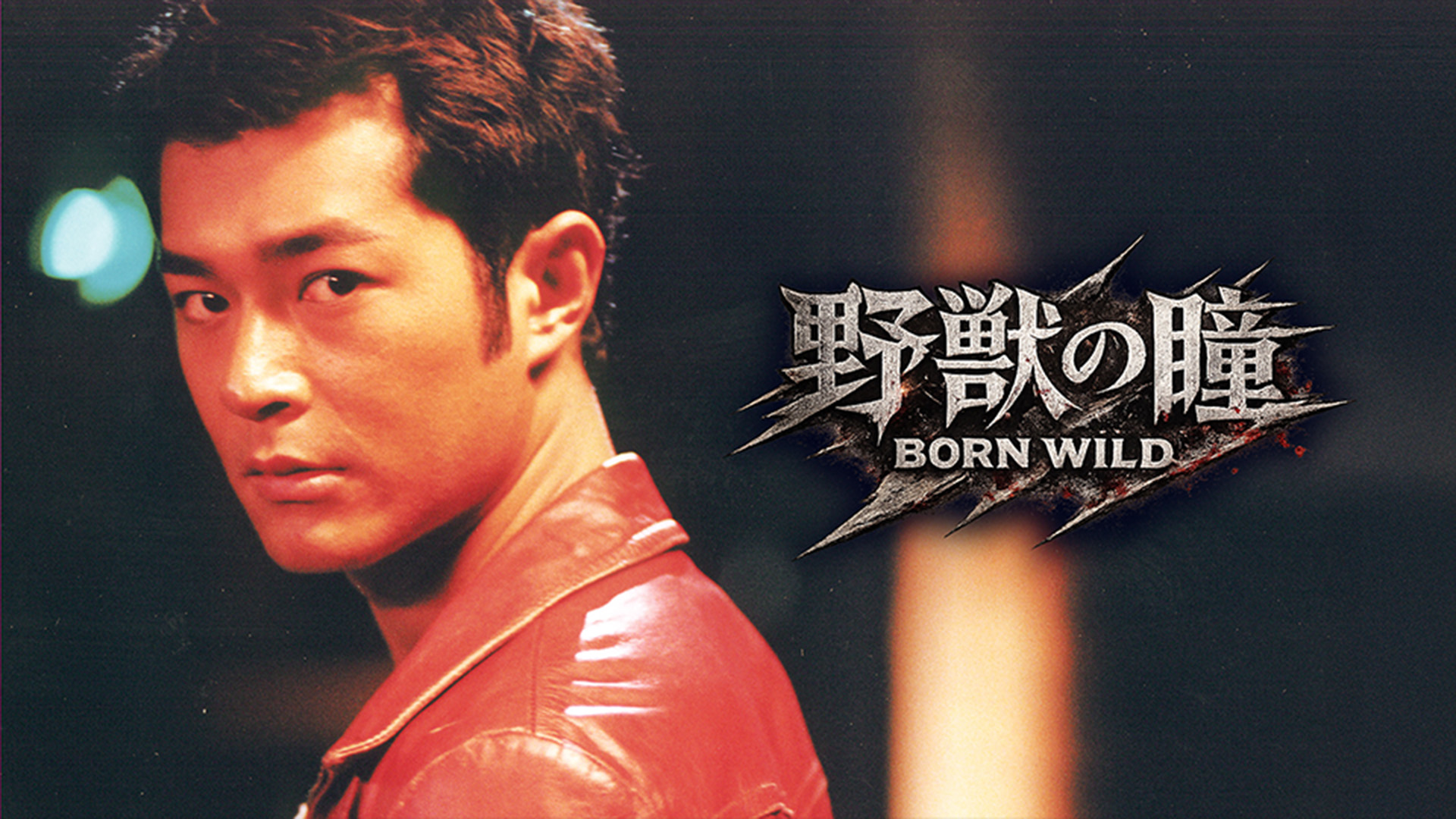 野獣の瞳 BORN WILD