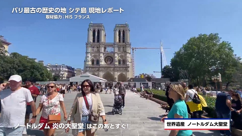 ノートルダム 炎の大聖堂