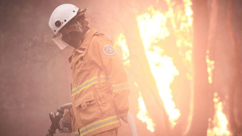 「豪州大規模森林火災は形にして残しておくことが重要だ」『FIRES～オーストラリアの黒い夏～』 製作総指揮＆脚本担当が語る製作の裏側